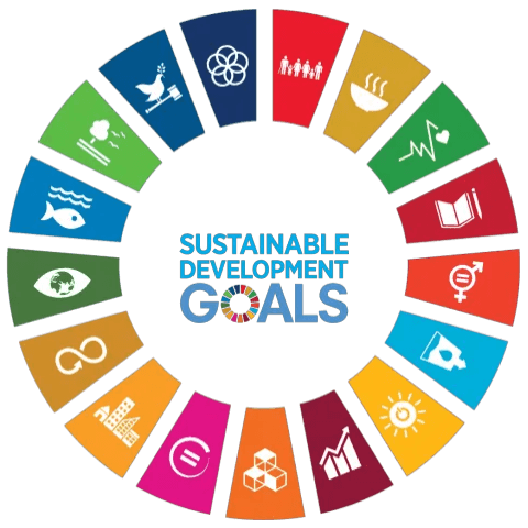 UN Sustainable Development Goals
